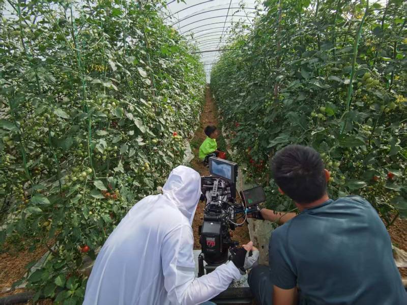 和县产品宣传视频拍摄公司进阶指南，助力品牌抢占传播高地